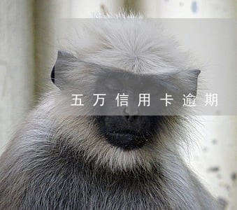 五万信用卡逾期 判刑 五万信用卡逾期 判刑